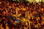 srirangam vayali top view